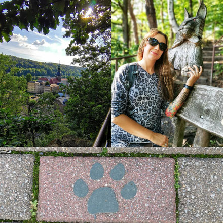 Bad Schandau, Hessen, Stadt, Themenweg, Raubkatzen, Luchsweg, Wandern, Klettern, Luchs