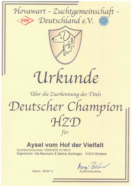 jetzt auch offiziell: Thaler ist Champion der HZD