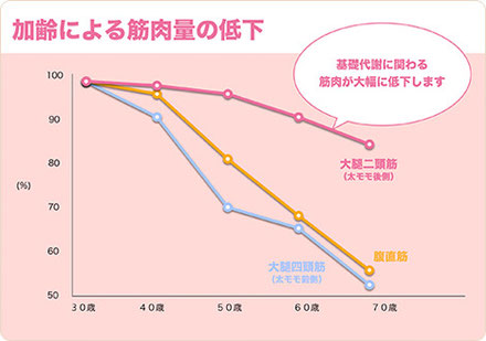 女性の筋肉量