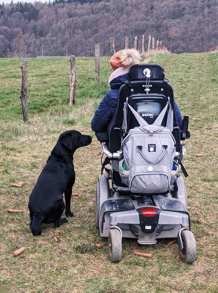 schwarze Labradorhündin Hazel auf der Wiese neben Rollstuhl mit Nina Hoffmann im Winter neben einem Zaun