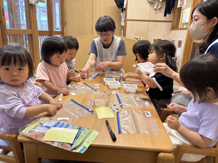 どれにしようかな?