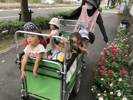 わぁあ!!お花綺麗
