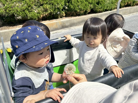 これなんだろうね?