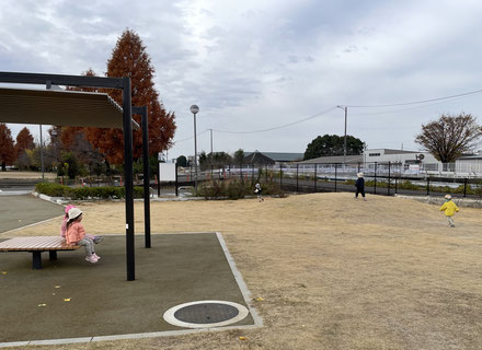 芝生の上を歩くの気持ちいね!