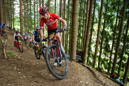 Bild von EGOPromotion