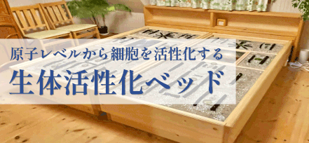 生命力アップと豊かな人生を実現させる癒しの横浜体験ハウスの 生命力アップと豊かな人生を実現させる癒しの横浜体験ハウスの