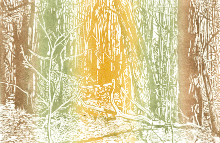 Titel: Waldsommer, Technik: Linolschnitt, Farbverlauf