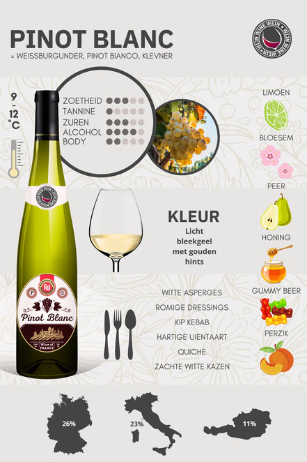 Wat is Pinot Blanc infographic