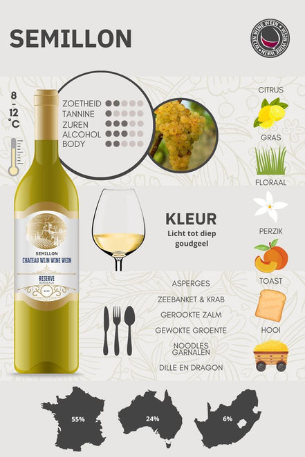 Semillon wijn en druif Infographic