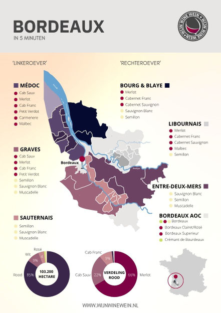 Poster Bordeaux Wijn Infographic