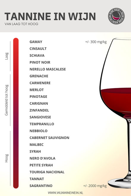 Poster Tannine in wijn Chart