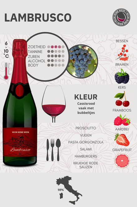 Lambrusco wijn en druif infographic
