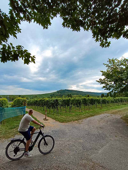 Wijnreis Wurttemberg - wijn fiets tour