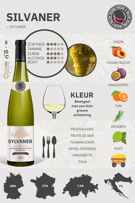 Wat is Silvaner Wijn Infographic
