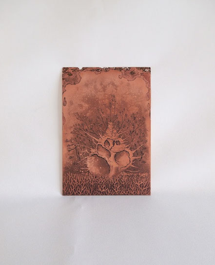 「leafy spiral」 腐蝕銅レリーフ/150×100mm /¥110,000(税込み)