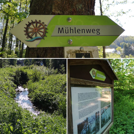 Es ist ein Wanderweg zu sehen der Mühlenweg genannt wird
