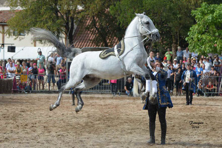 Troupe HASTALUEGO