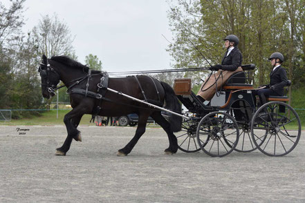 JOLLY Nathalie - AMATEUR 1 GP PONEY SOLO