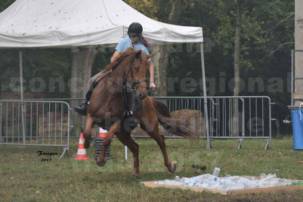 Cheval Monté 1