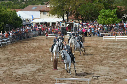 CARROUSEL de LUSITANIENS par 6 cavaliers & cavalières