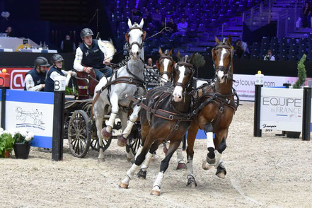 Dries DEGRIECK - Second du concours d'attelage à 4 chevaux.