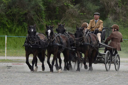 SAGOT DUVAUROUX Olivier - AMATEUR 1 GP PONEY TEAM