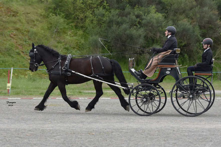 JOLLY Nathalie - AMATEUR 1 GP PONEY SOLO