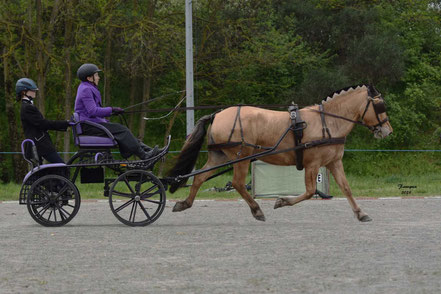 DUCHEIN Florence - AMATEUR 1 GP PONEY SOLO