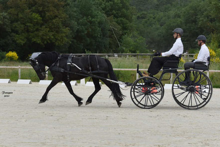 HUSTACHE Hugo - solo cheval MERENS