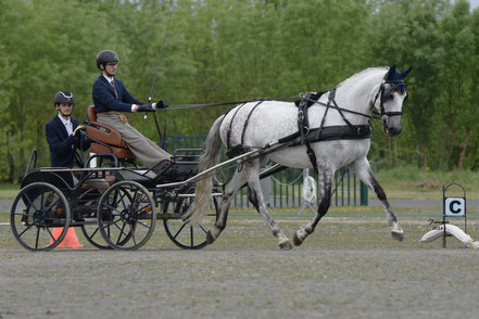 BOUSQUET Théo - AMATEUR 1 GP SOLO