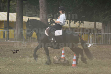 Cheval Monté 2