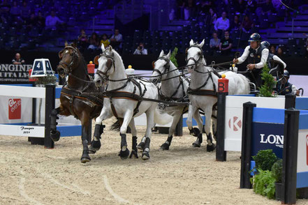 Koos DE RONDE - Troisième du concours d'attelage à 4 chevaux.