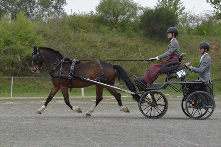 BOUSQUET Mathis - AMATEUR 1 GP PONEY SOLO