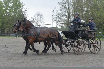 DELMAS Jean Louis - AMATEUR 1 GP TRAIT PAIRE