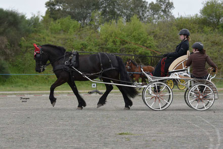 LE LEANNEC Rehanne - CLUB ELITE SOLO GP