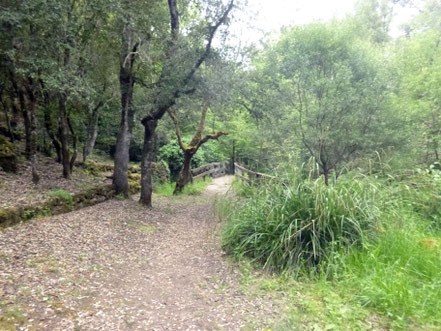 Wanderweg bei Is Janas