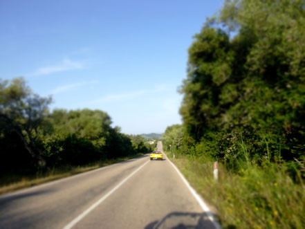 Buggy auf Landstraße