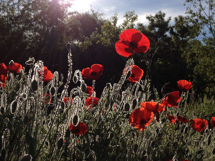 Image bei Freepik.