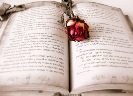 Buch mit Lyrik und Rose