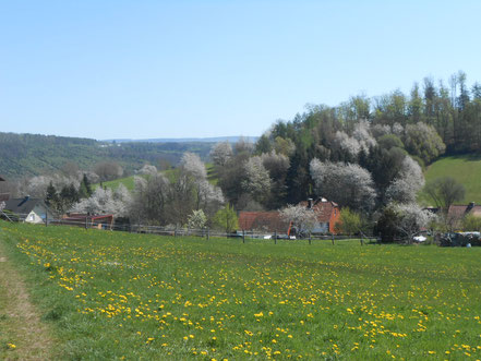 Wabenhonig,der Wabenhonigimker,St.Ottilien