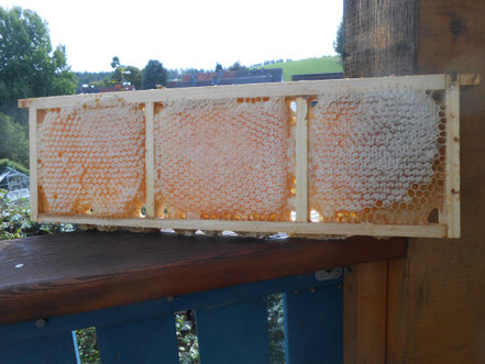 Wabenhonig im Holzrahmen,Honigwabe kaufen.