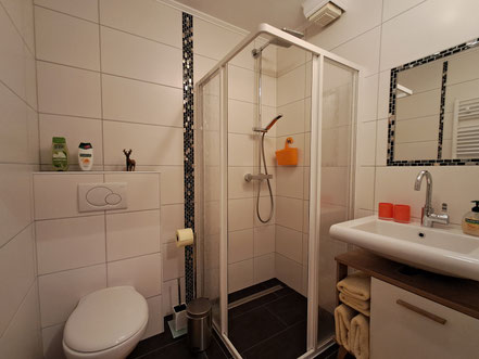 Private Bathroom with Shower and Toilet
