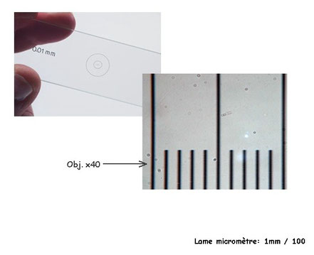 Lame micromètre-objet Cofemo pour étalonnages réalisés par Claude Gonon Microscopie