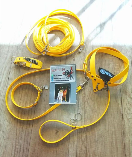 Komplettset gelb Geschirr Leine Schleppleine Halsband mit Namen Halsband mit Zugstopper