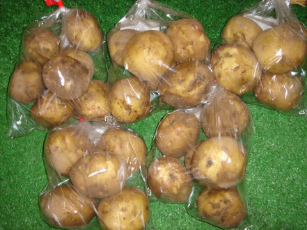 岐阜県　加茂郡　川辺町　直売所　川湊の里　上川辺　新鮮野菜　ジャガイモ　馬鈴薯