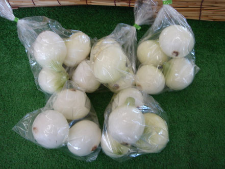 岐阜県　加茂郡　川辺町　直売所　川湊の里　上川辺　新鮮野菜　タマネギ