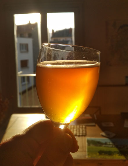 Verre contenant de la Bière Blonde au Miel de Manuka