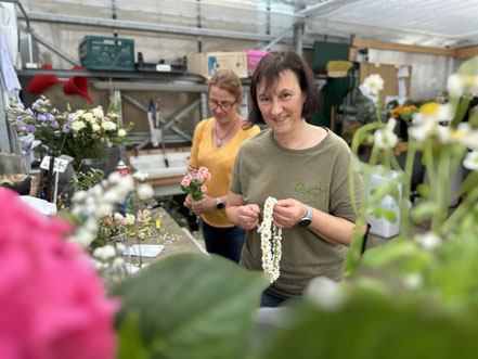 Job, Stelle,ausbildung,Wuerzburg, Unterfranken, Franken, Bayern, floristi,flostik,blumen,schnittblumen,gaertner