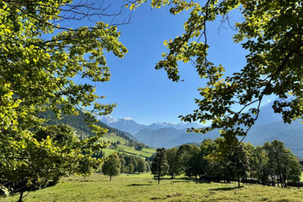 Waldige Gebirgskulisse bei schönem Wetter.