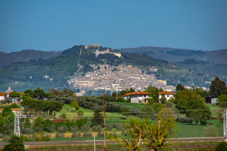CORTONA